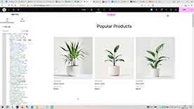 hopify独立站 shopify运营 shopify wordpress外贸建站 wordpress独立站 wordpress主题 wordpress模板 shopify模板 主题店铺首页主页装修seo关键词代码免费生成工具软件 
